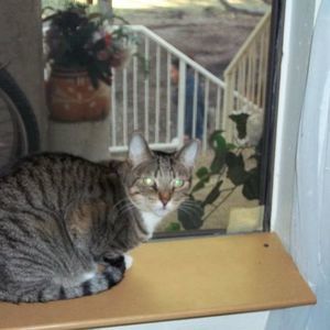 Meet your Posher, Donna